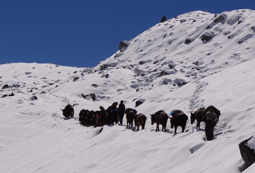 Wie Sie Ihren Trek in Bhutan optimal vorbereiten