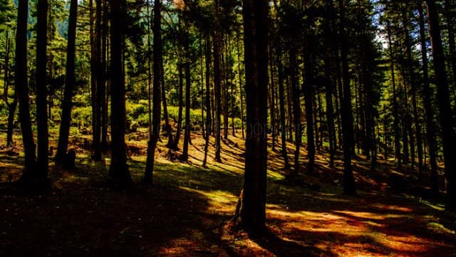 Der Naturtrail von Gangtey